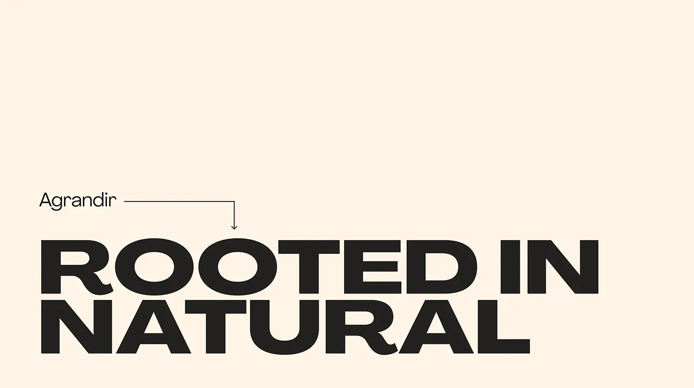 Rooted Brand Identity image 13