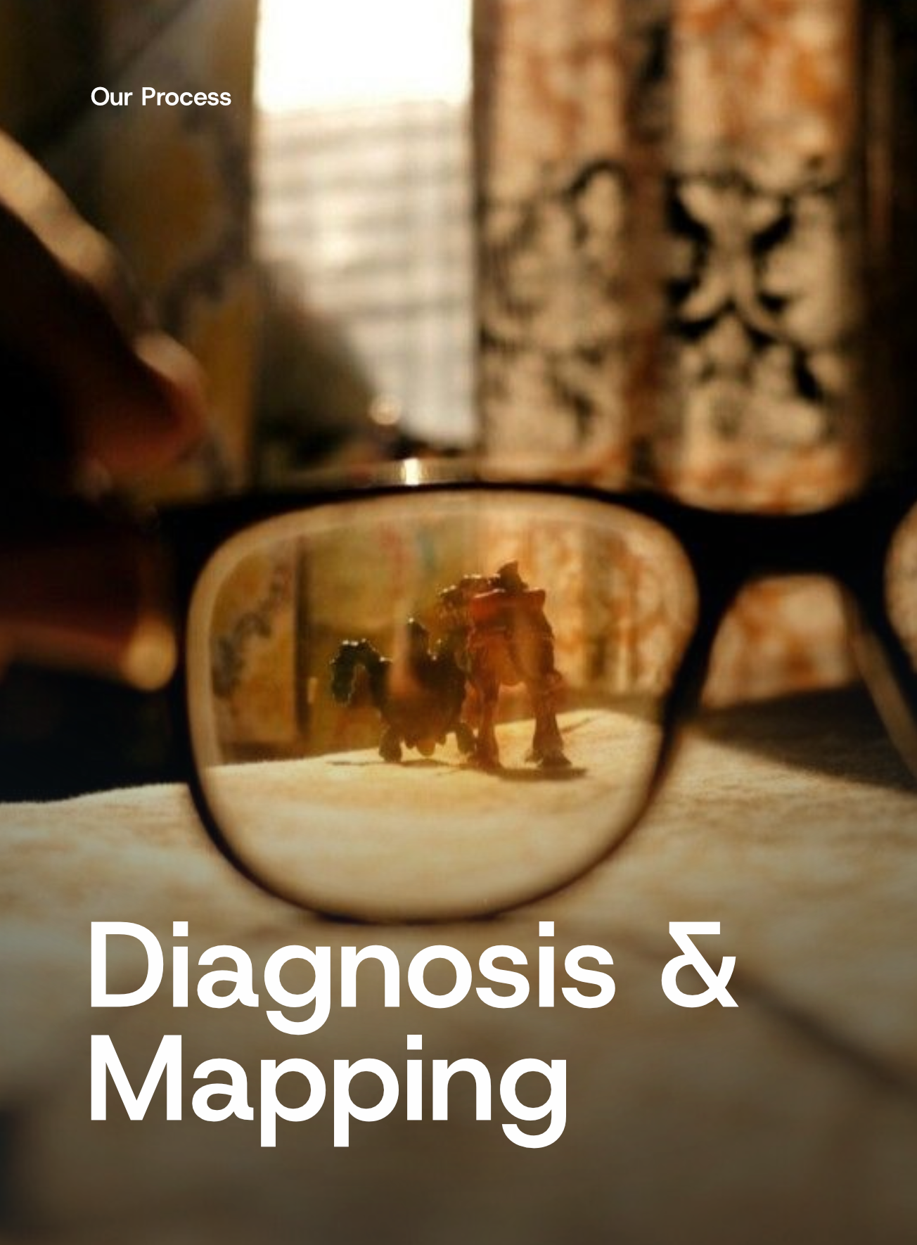Diagnosis & Mapping visual